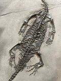 Keichousaurus Reptile with Skin - Guizhou, China