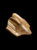 Iguanodon Tooth (Dinosaur) - Hastings