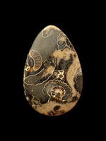 Marston Marble Cabochon (A grade) - Somerset