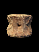 Plesiosaur Vertebra (Cryptoclidus sp.) - Peterborough, Cambridgeshire