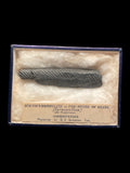 Carboniferous Shark Spine (Gyracanthus) - Shropshire, England