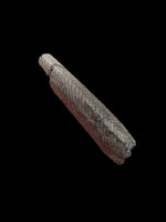 Carboniferous Shark Spine (Gyracanthus) - Shropshire, England