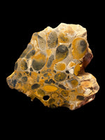 Polished Pudding Stone - Hertfordshire, UK