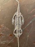 Triassic Reptile - Pachypleuroceras (Keichousaurus Hui)