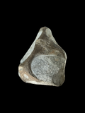 Marine Crocodile Partial Skull - Saltwick Bay, Yorkshire