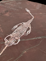 Triassic Reptile - Pachypleuroceras (Keichousaurus Hui)