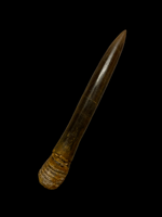 Belemnite (removable) - Scunthorpe, Lincolnshire