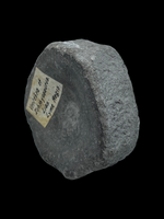 Ichthyosaur Vertebra (large) - Lyme Regis, Dorset